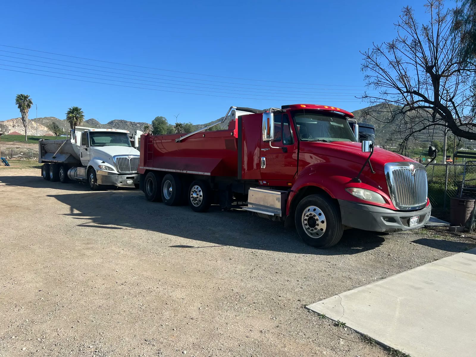Red and white dump trucks parked side by side at the D&J Ortega Trucking yard in the Inland Empire